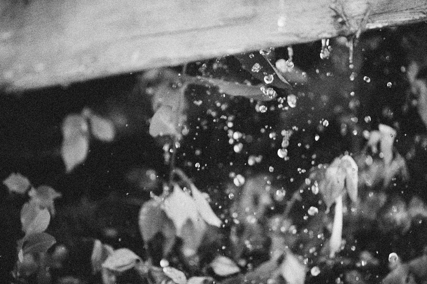 Gotas de lluvia cayendo desde un tejado metálico en blanco y negro