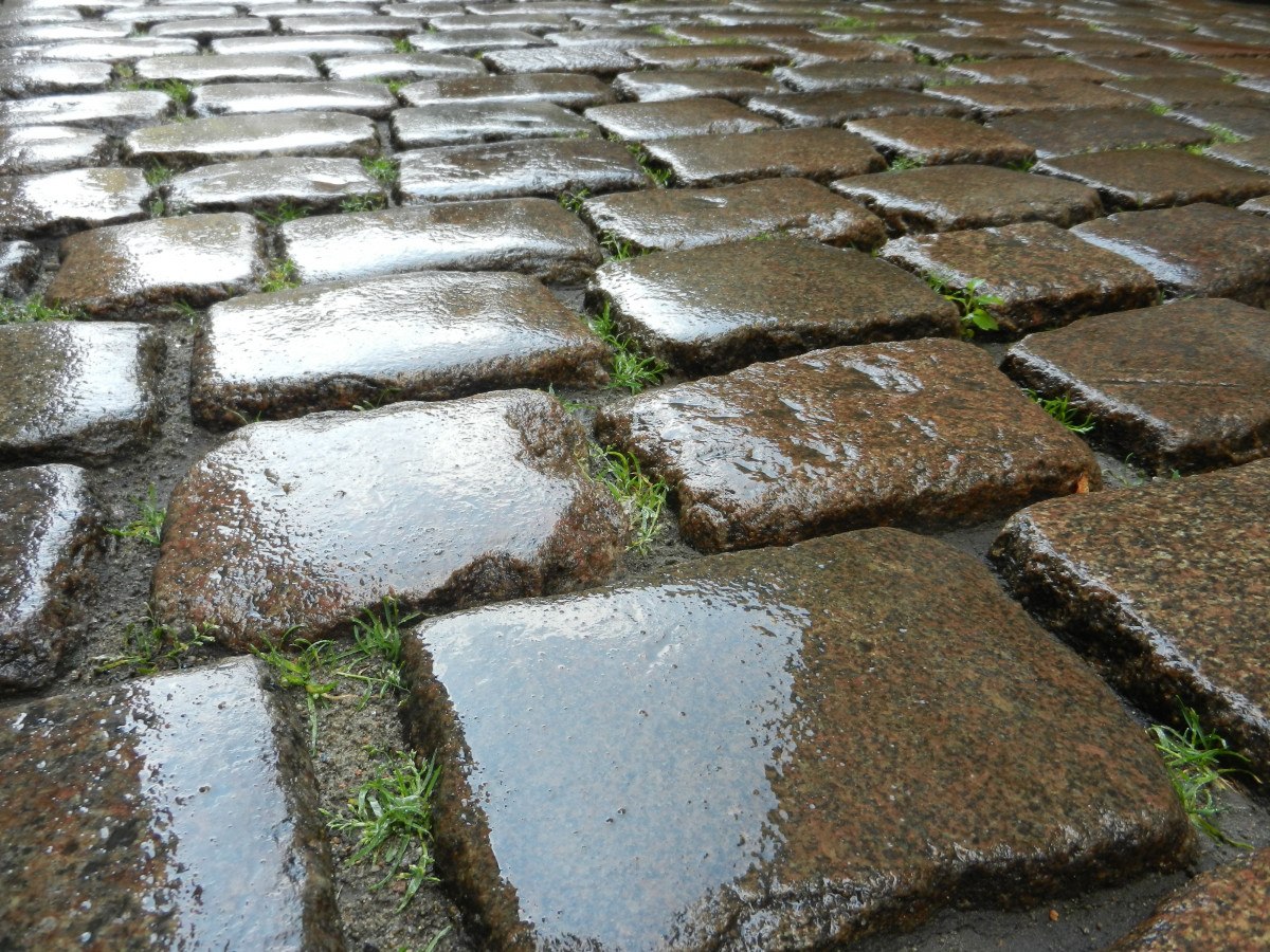 Pavimento de piedra mojado con juntas visibles